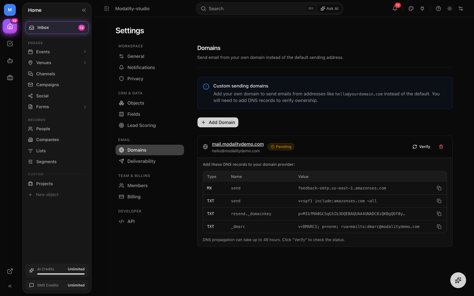 The Domains tab with a domain expanded to show its DNS records table (Type/Name/Value with copy buttons), the status badge, and the Verify / delete actions.