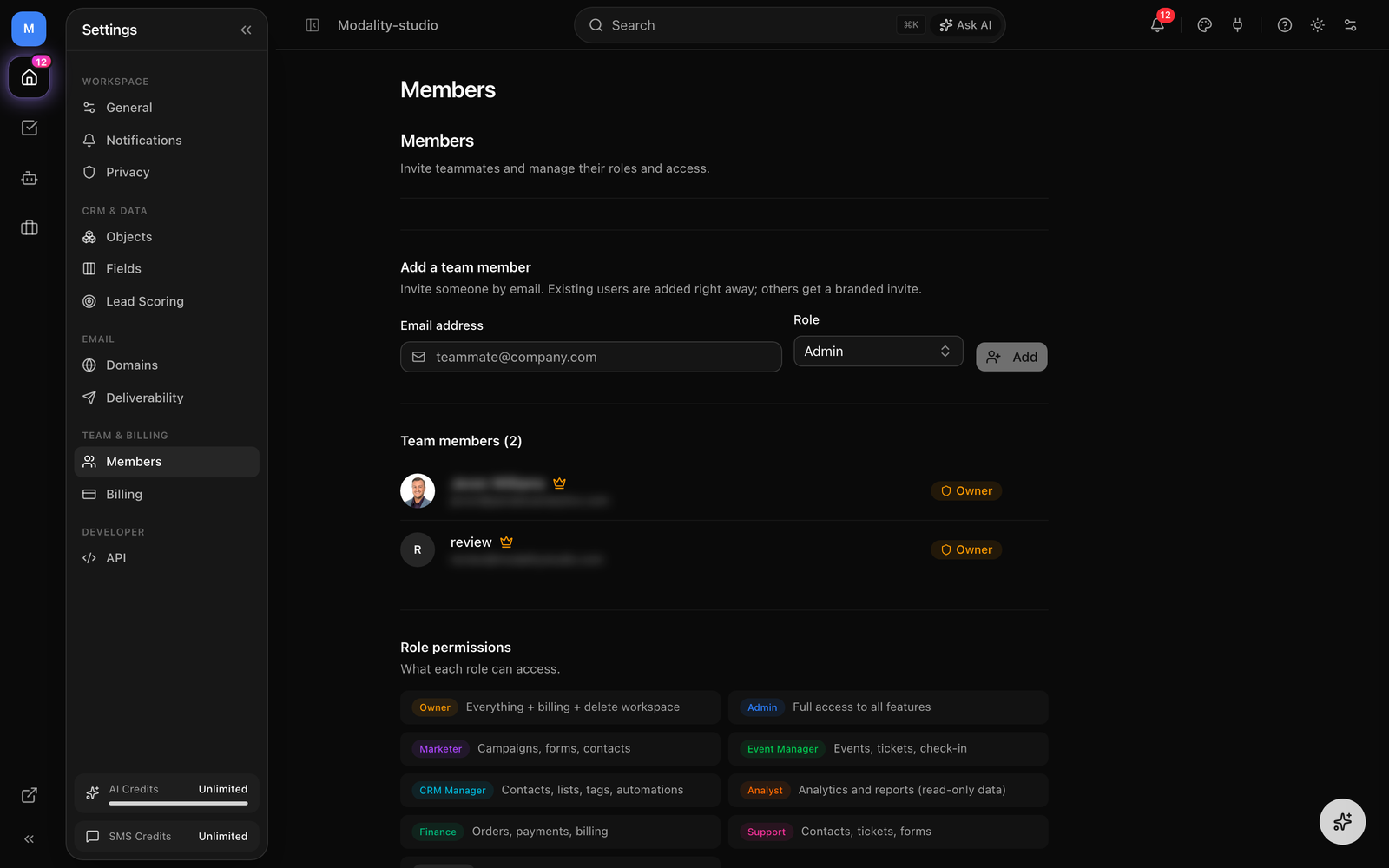 The Team tab with the Add Team Member form, the members list showing the Owner crown and inline role dropdowns, and the Role Permissions summary card.